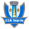 ASE布加勒斯特